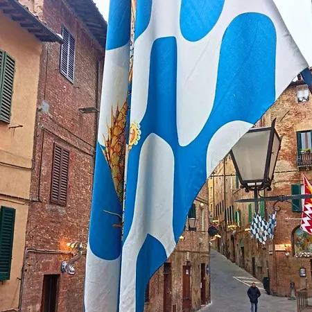 Gli Archi Nel Cuore Di Appartamento *